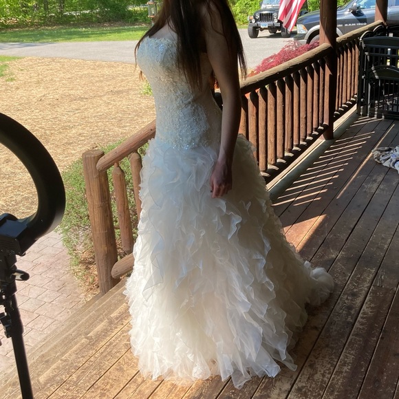 David’s Bridal Wedding Dress - Picture 4 of 12